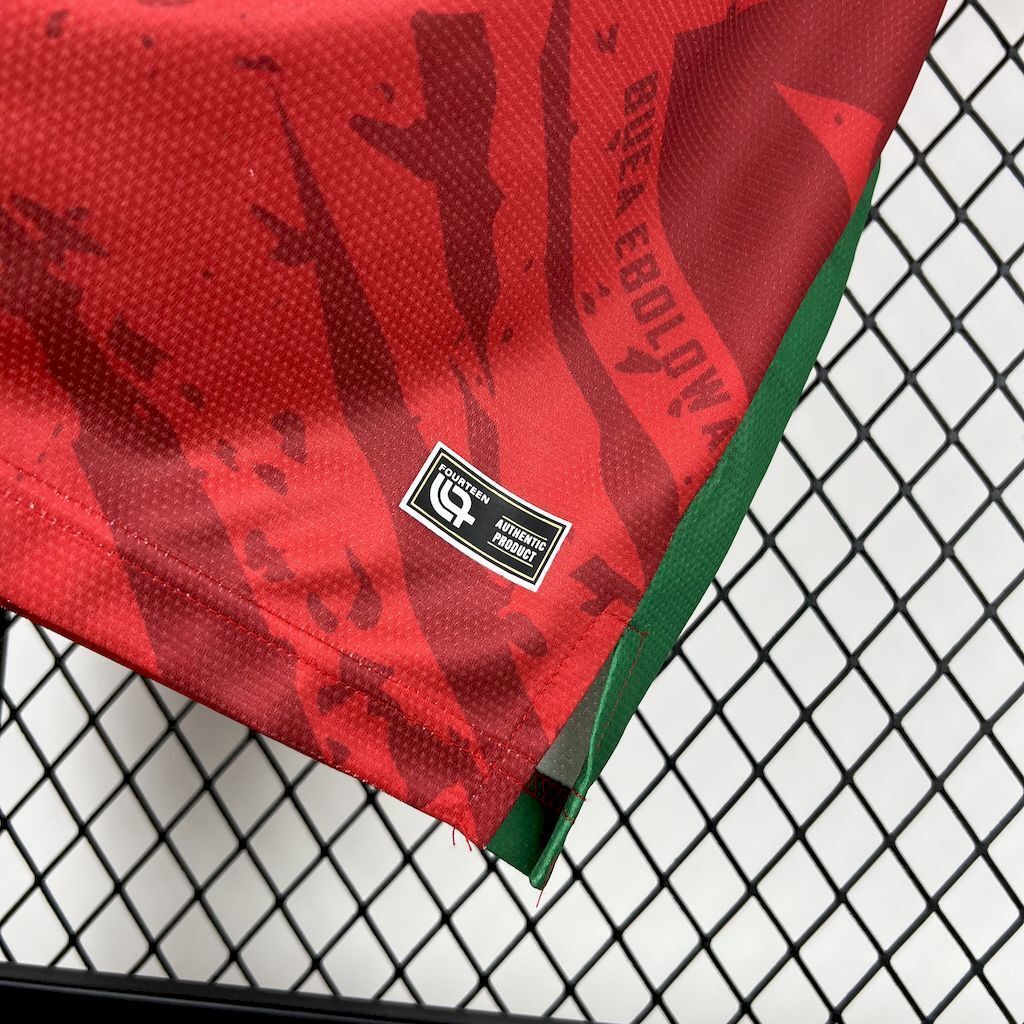 Maillot ext Cameroun 2025