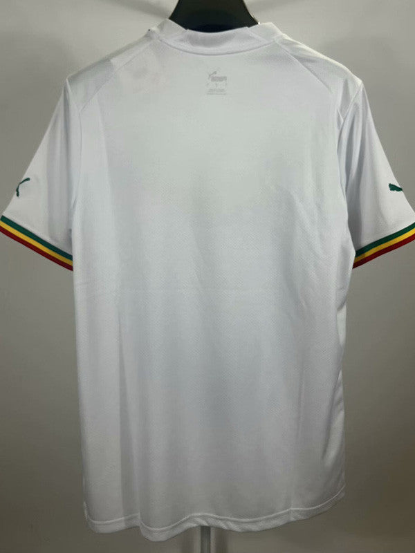 Maillot Sénégal concept Lion 2024