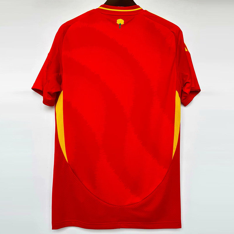 Maillot domicile Espagne 2024-25