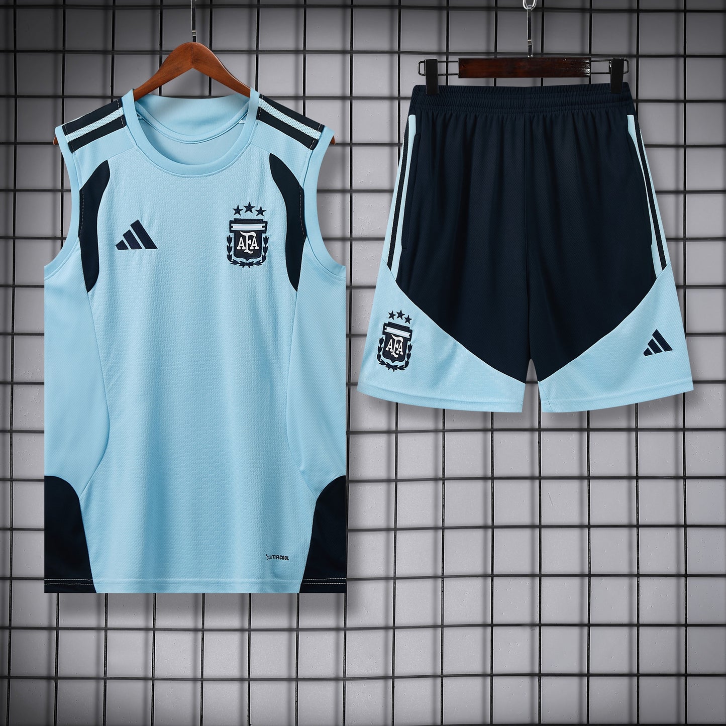 Ensemble training Argentine dom 2026