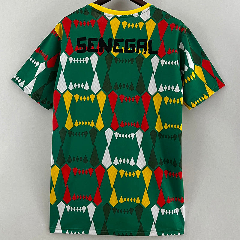 Maillot Sénégal concept vert 2024