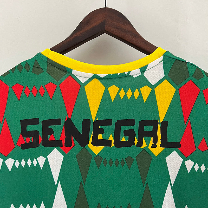 Maillot Sénégal concept vert 2024