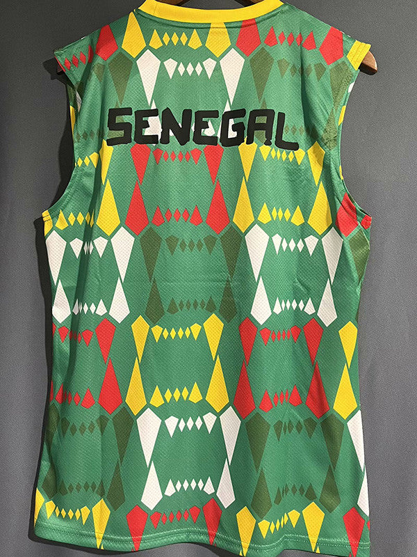 Maillot Sénégal concept vert 2024